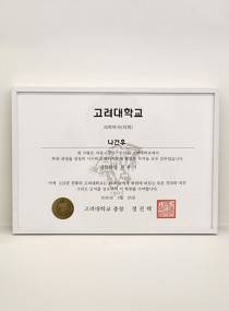 고려대학교 의학박사(신경안과) 표지