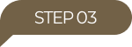 STEP03