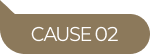 CAUSE02