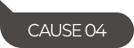 CAUSE04